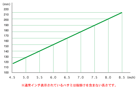 nT~̃TCYȈՊZ}